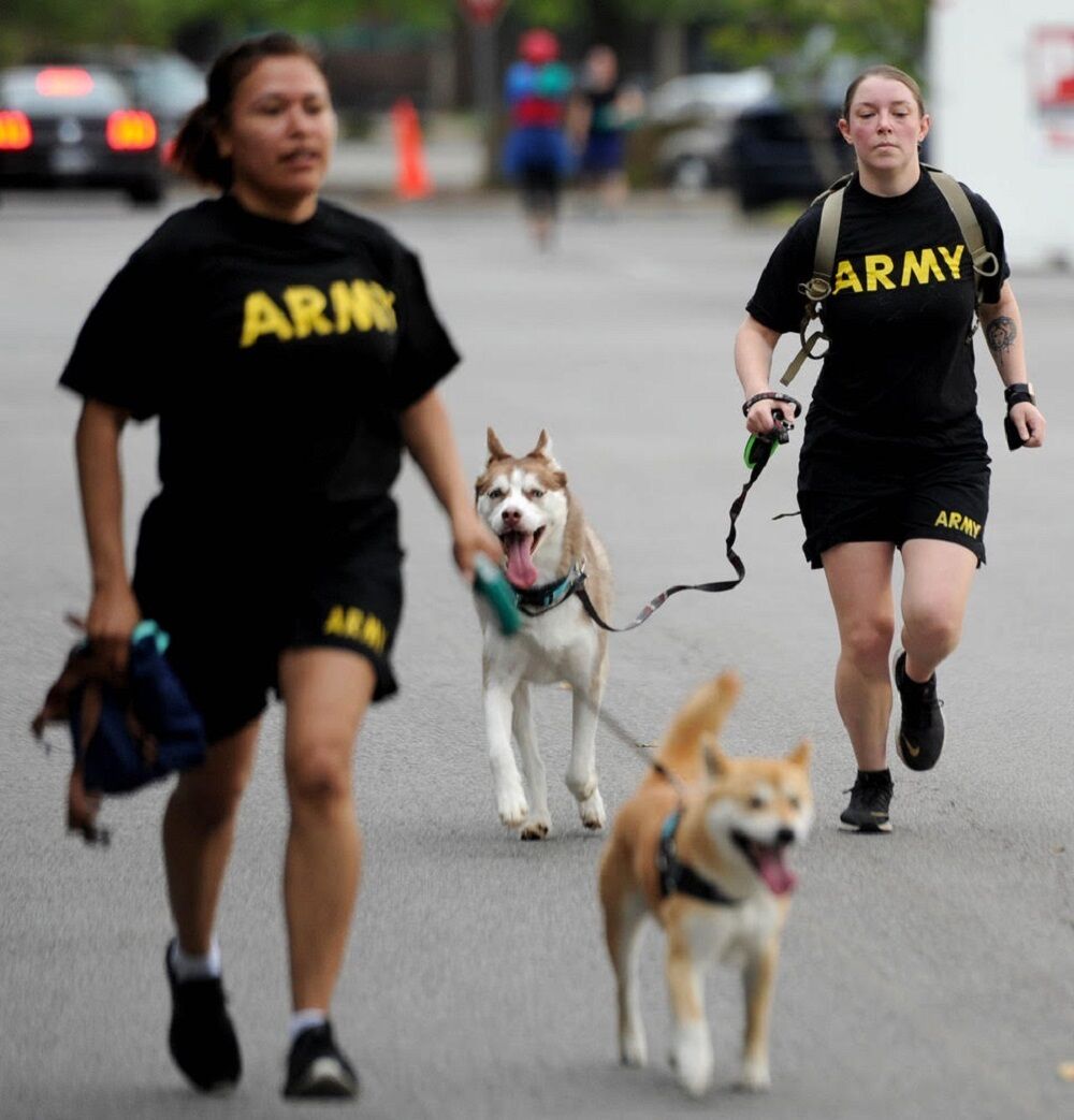 SHARP 5K 2 dog .jpg