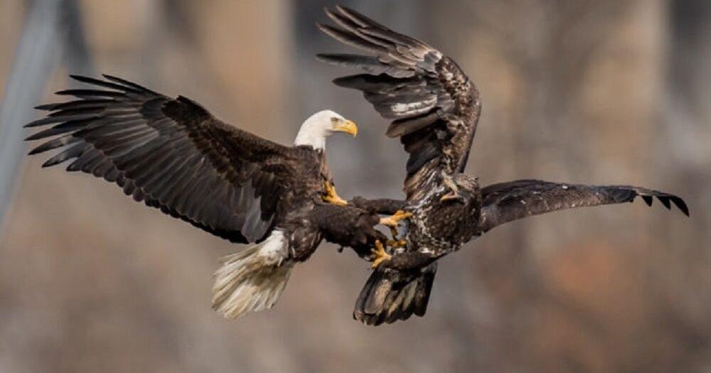 Annual national contest tests photography skills | News Annual national contest tests photography skills | News