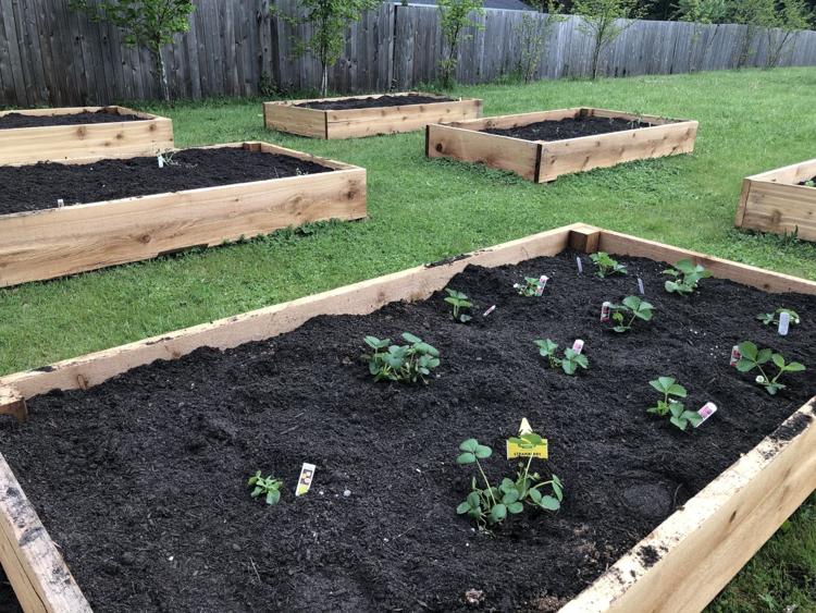 Daybreak recovery starts tilling Seeds of Hope Garden