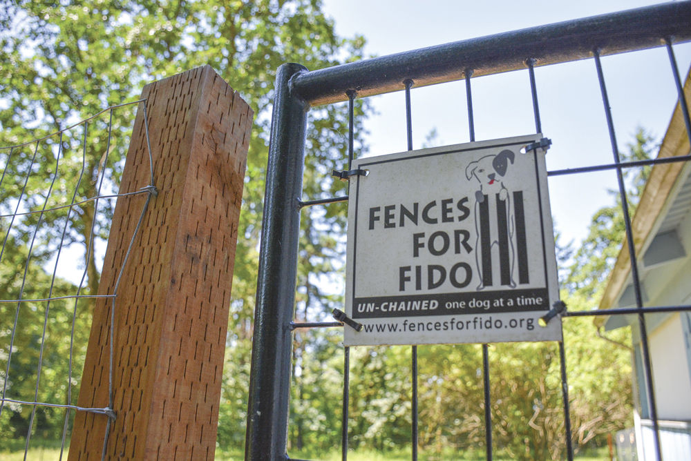 fence for fido