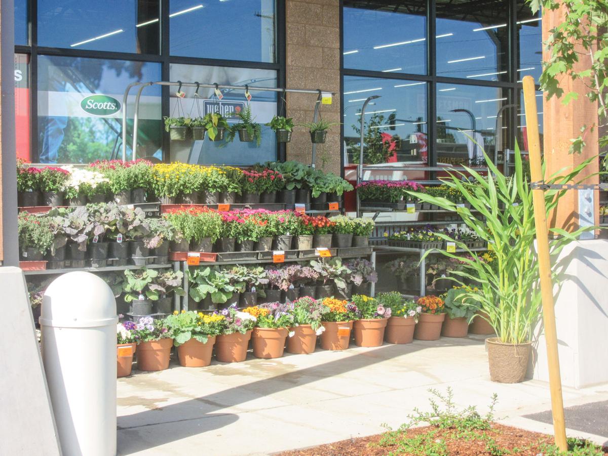 BG Ace Hardware provides for home maintenance, garden ...