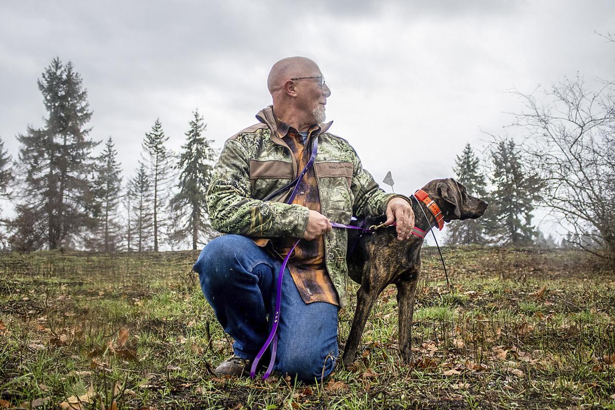 Veteran Woodsman Blames Ban On Hound Hunting For Spike In Poaching News Thereflector Com