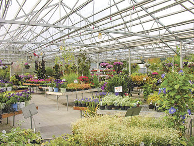 Tsugawa Nursery Offers Monthly Tips For Gardening Home Scene Plants At Tsugawa