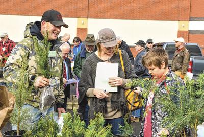 Tree Sale Rooted In Battle Ground Home Scene Thereflector Com