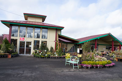 Tsugawa Nursery Will Offer June Garden Seminars Scene Tsugawa Nursery In Woodland Will Offer Several Garden Seminars During The Month Of June Some Include Create Your Own Small Water Feature A