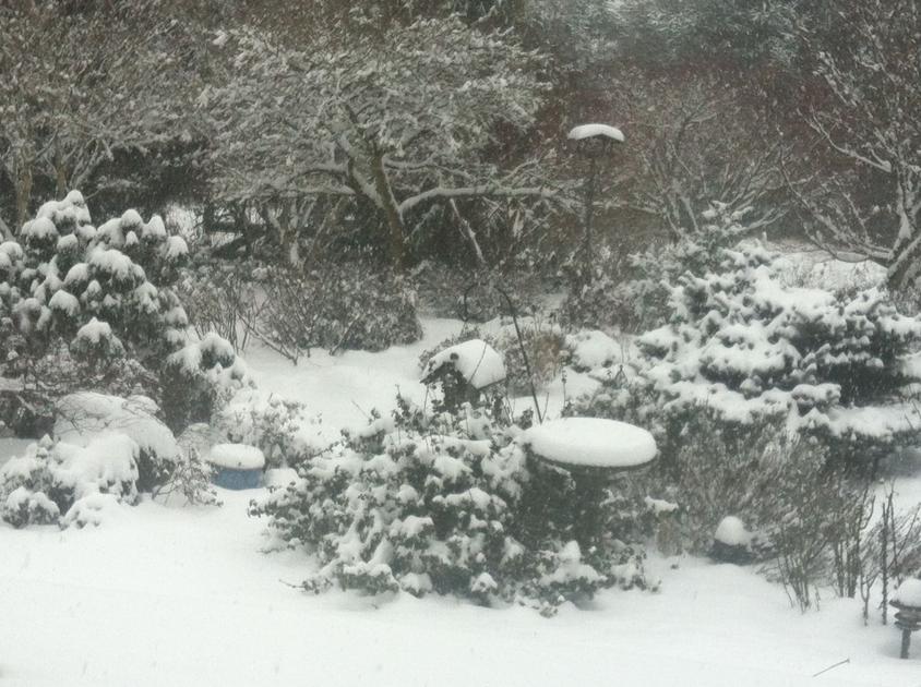 Clark County Master Gardener offers tips on winterizing gardens - The Reflector