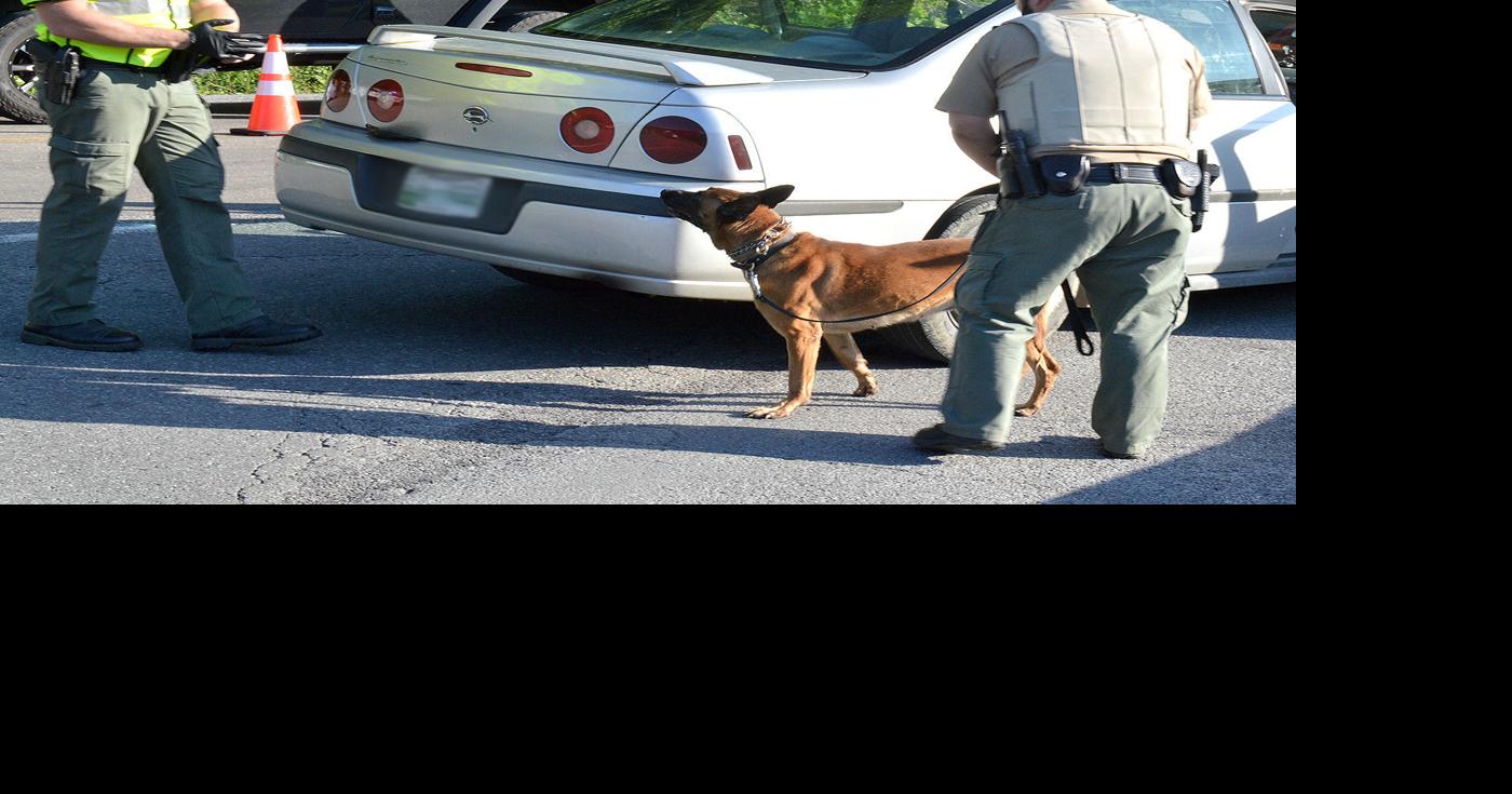 BUSTED Hancock checkpoints result in dozens of citations, arrests(01)