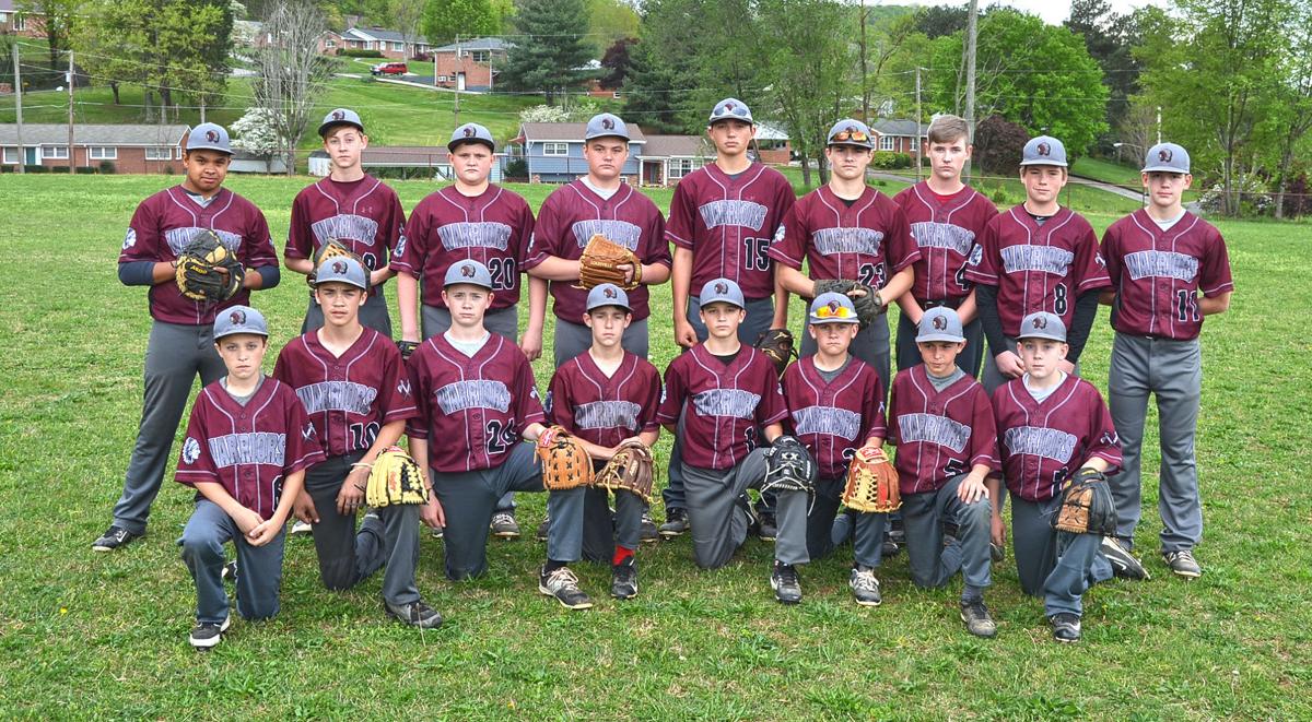 2017 Rogersville Middle School baseball team Sports