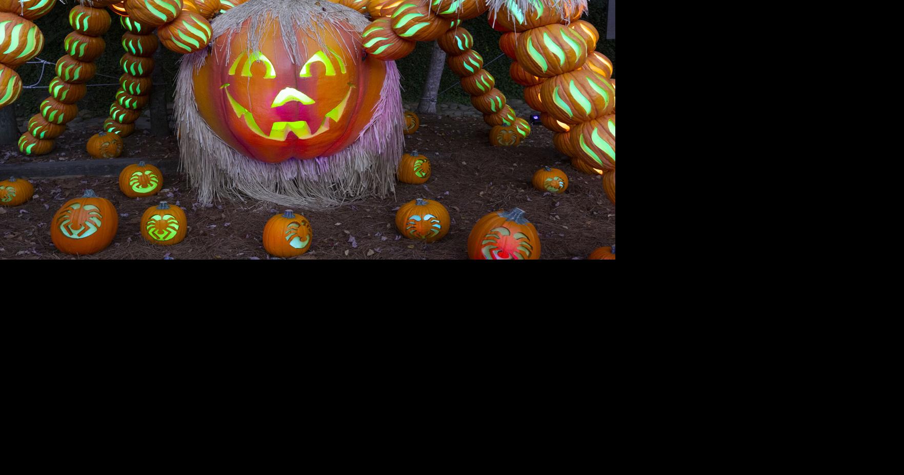 Dollywood's Great Pumpkin Luminights nominated for USA Today 10Best
