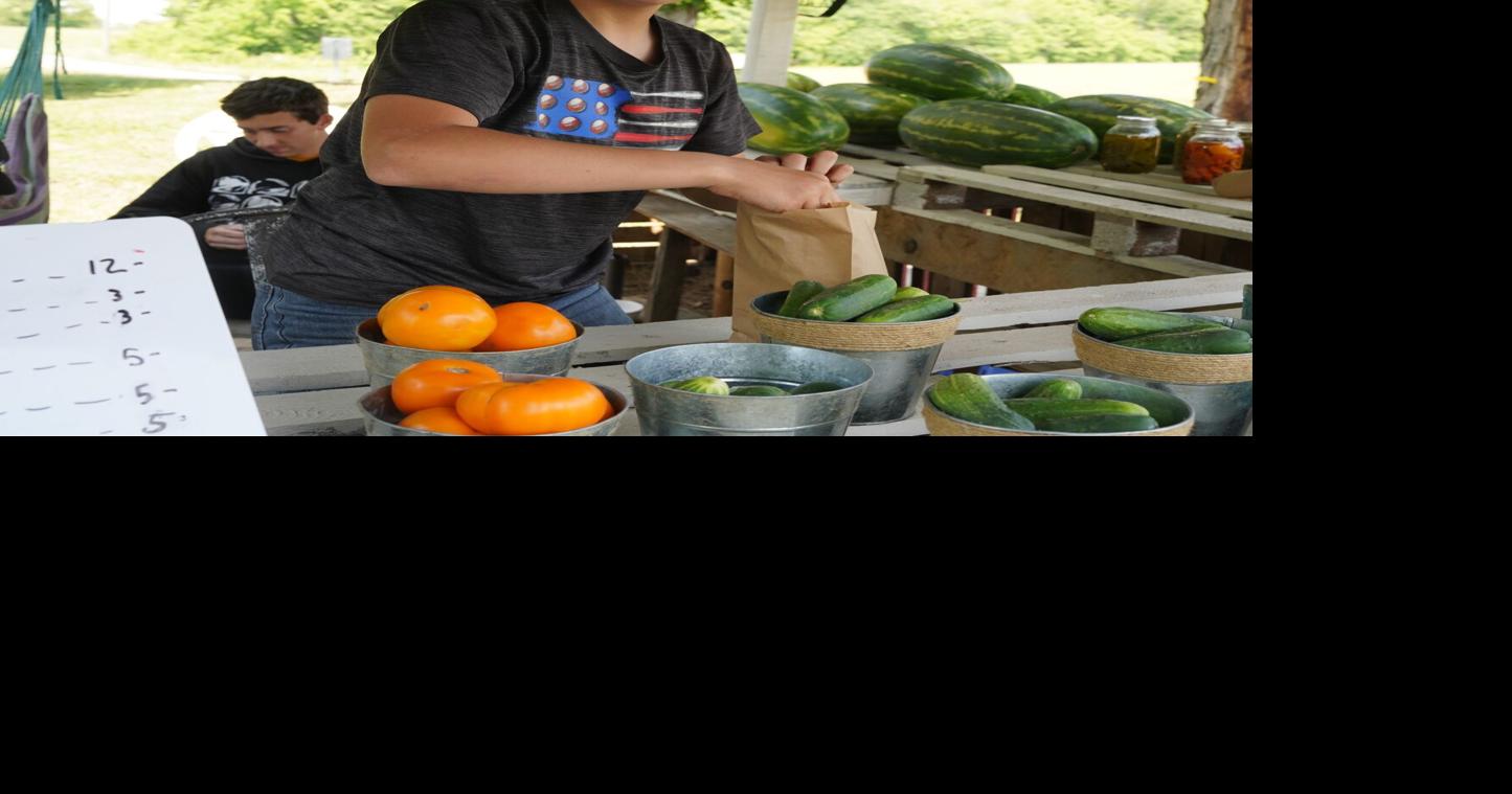 Bulls Gap's 'Little Produce Shack' is bigger than ever Business