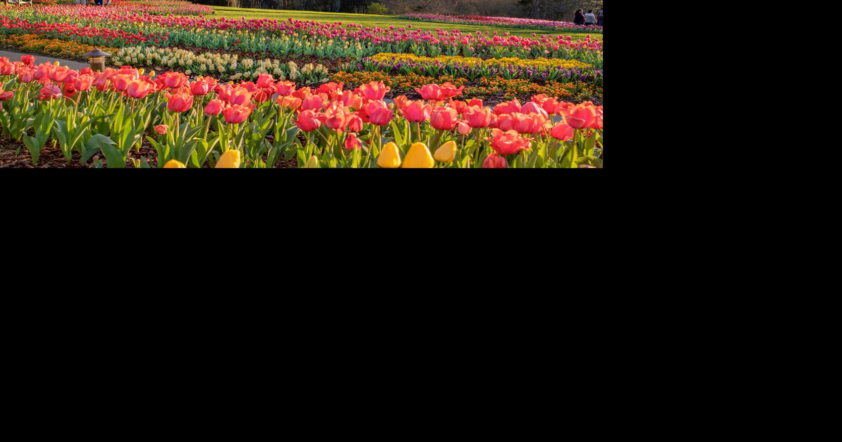 What new in Tennessee Tourism this spring | Arts & Entertainment ...