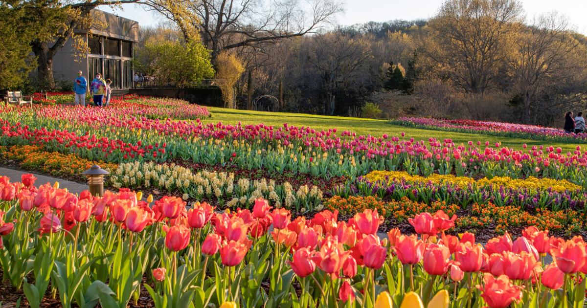 Spring In Tennessee What new in Tennessee Tourism this spring | Arts & Entertainment ...