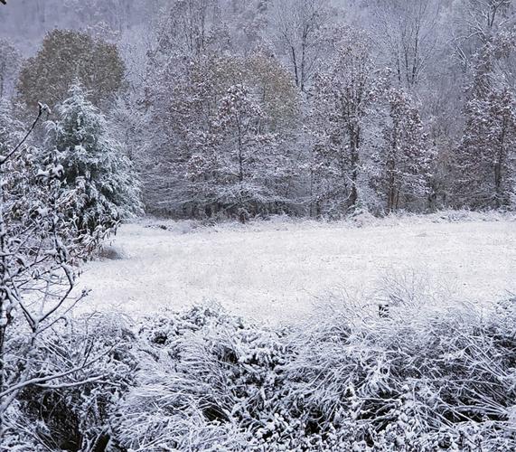 An early snowfall for Hawkins County! Rogersville