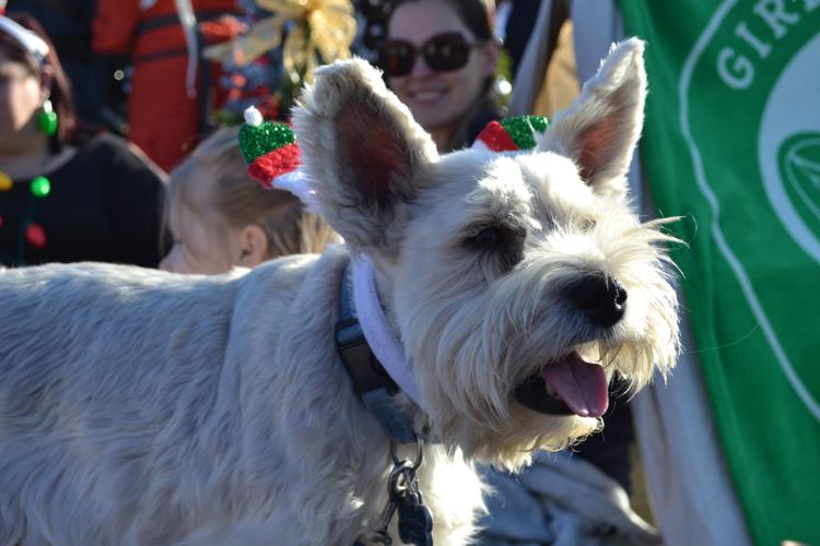 Rogersville hosts annual Christmas Parade Rogersville