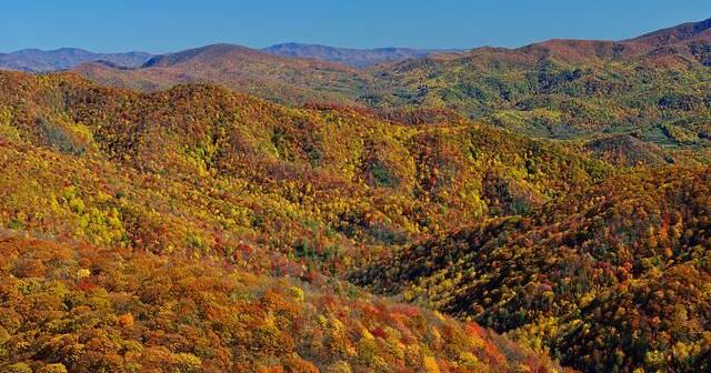 Fall Springfield Tn Autumn Glory: Where to See Fall Foliage in Tennessee | Arts ...