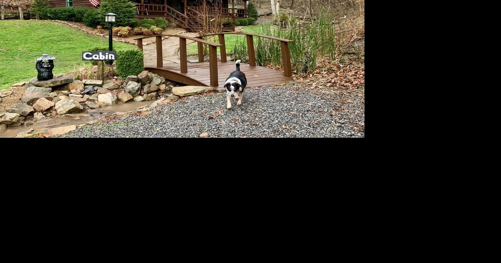 Rogersville AirBnB achieves 'Superhost' status with a five star rating