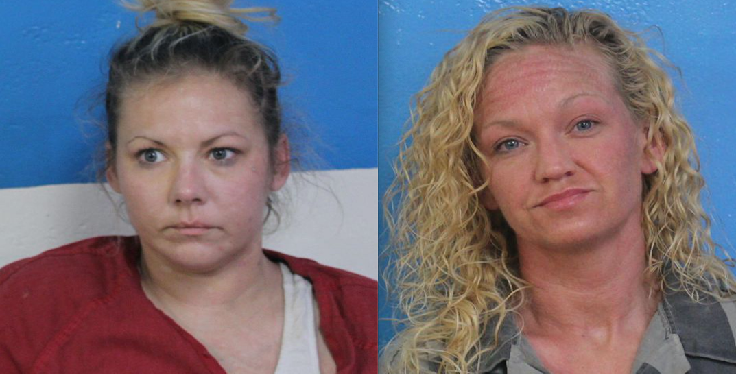 Sullivan County Sheriff seizes large quantity of drugs in Kingsport