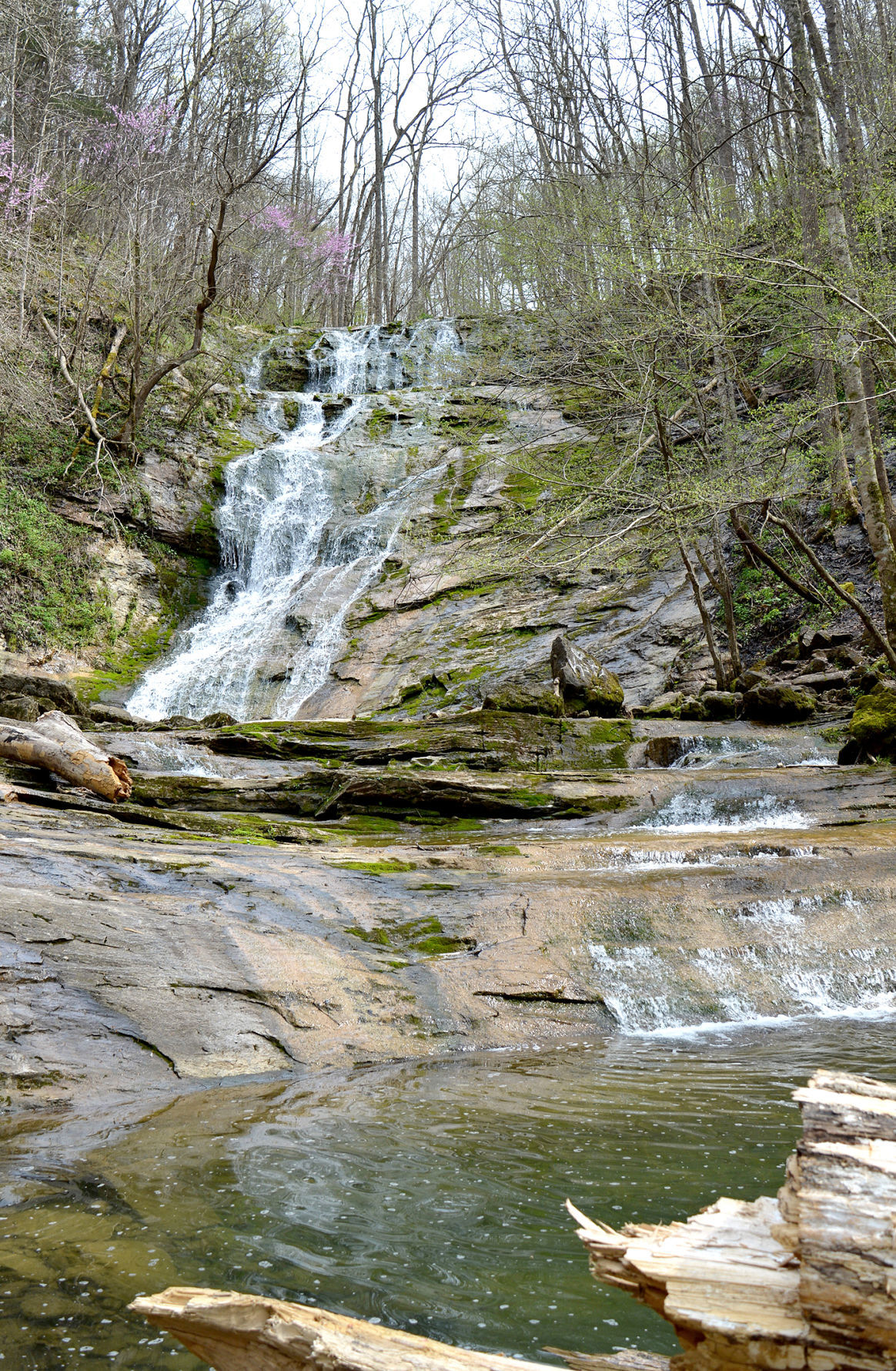 DISCOVER HANCOCK COUNTY: The beauty of Elrod Falls in the spring ...