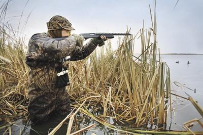 Duck Hunting Rule Changes