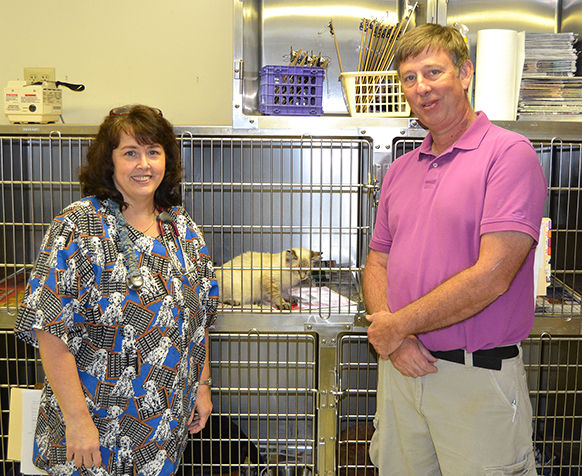 Rogersville Animal Hospital: Nearly 70 years of critter care | Business |  
