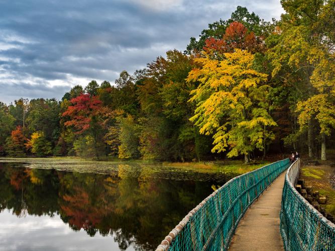 Fall in love with Tennessee's Great Outdoors during autumn 2022 | Arts ...