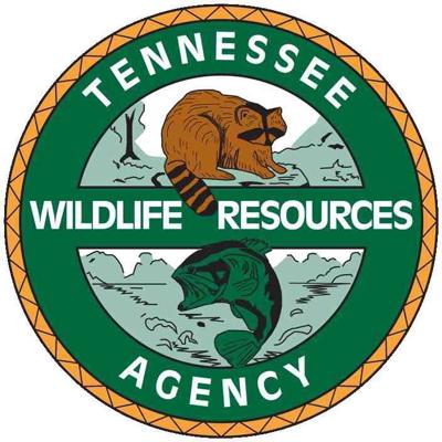 Tn Trout Stocking Schedule 2022 2021-22 Twra Winter Trout Stocking Program Underway | Sports |  Therogersvillereview.com