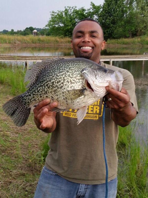 New state and world record black crappie caught by Loudon County angler