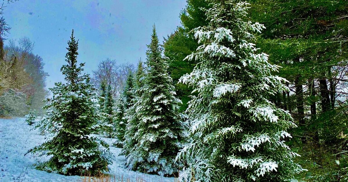 Outside: How to Make Snow | Columns | therogersvillereview.com