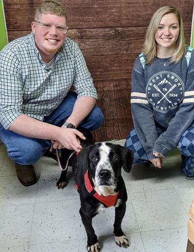 Therapy dog for children’s home In Virginia recruited from Hawkins ...