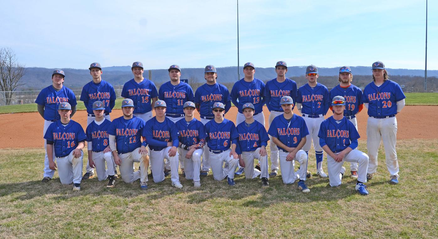 Falcons baseball team features depth, experience Sports