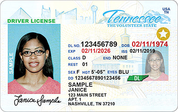 Identification Card Alabama Non Driver Id
