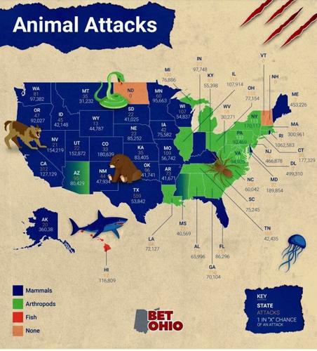 New study ranks Tennessee among most likely states for fatal animal attack  | Community 