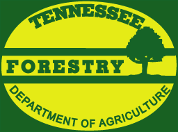 TN Division of Forestry seeks bids for gypsy moth trapping to prevent ...