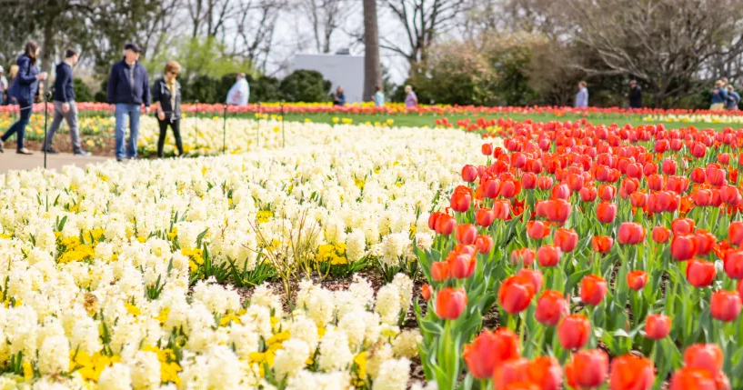 TN Spring Travel Inspiration: Fresh air, road trips and Tennessee music | Arts & Entertainment