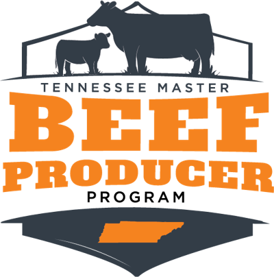 TennesseeMasterBeefProducersProgram-Logo-FINAL