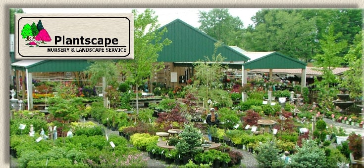 nursery landscape design near me