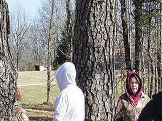 How To Tap Maple Syrup In Your Own Backyard Environment