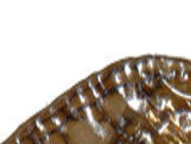 pics Do Cicadas Swarm Humans cicadas to swarm southern illinois