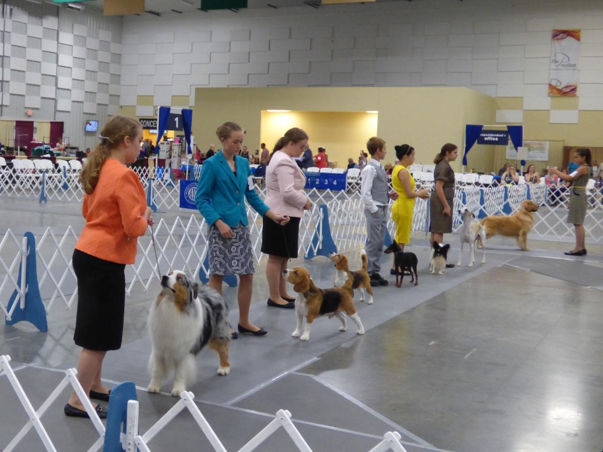 Best in Show Junior handlers win at Marion dog show Marion