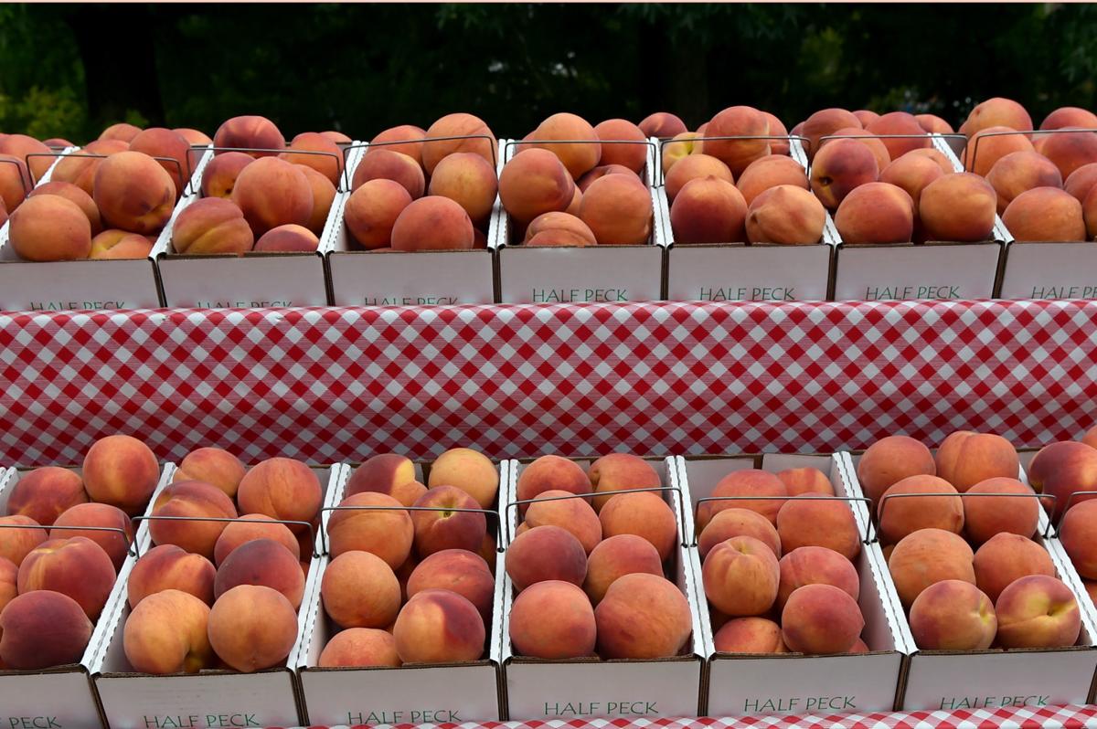 It's peachy Cobden to celebrate 81st Peach Festival