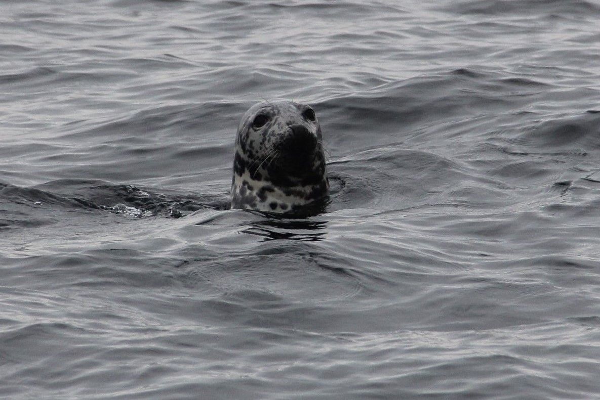 Discover the real allure of Nova Scotia Getaways