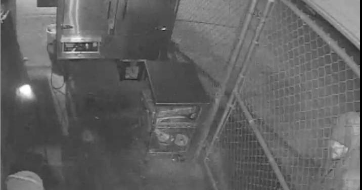 Marion Police seeking help identifying burglary suspect | Local News ...