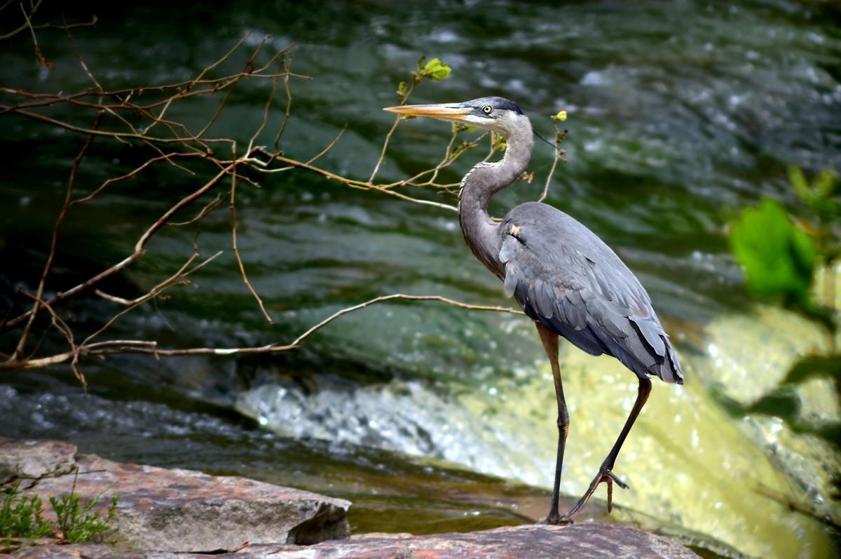 Kinkaid Lake Spillway