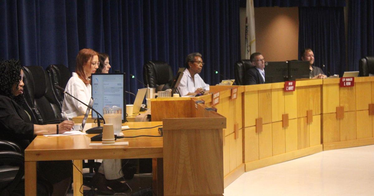 Carbondale passes moratorium on data center development