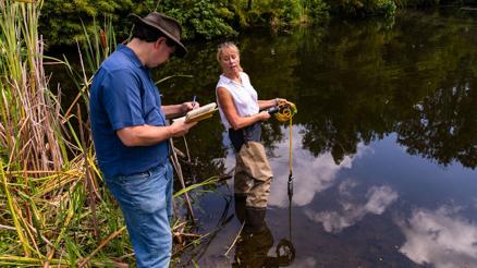 A $194,000 grant will fund reseach to stop harmful algae - Vimarsana News
