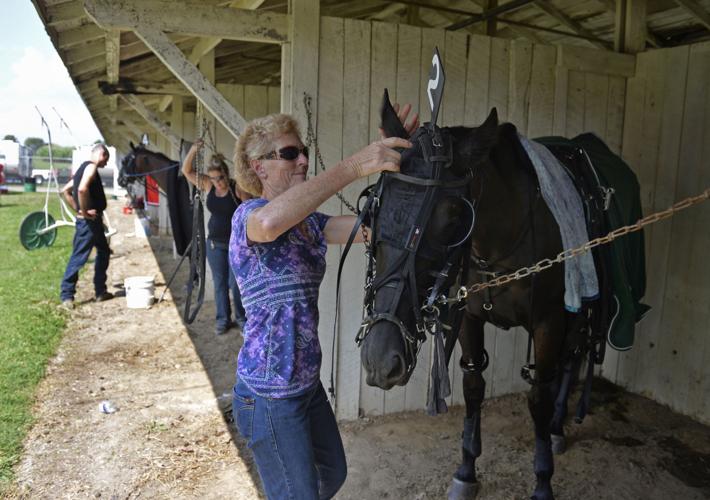 Du Quoin State Fair Harness Racing Fancy Creek Jolene