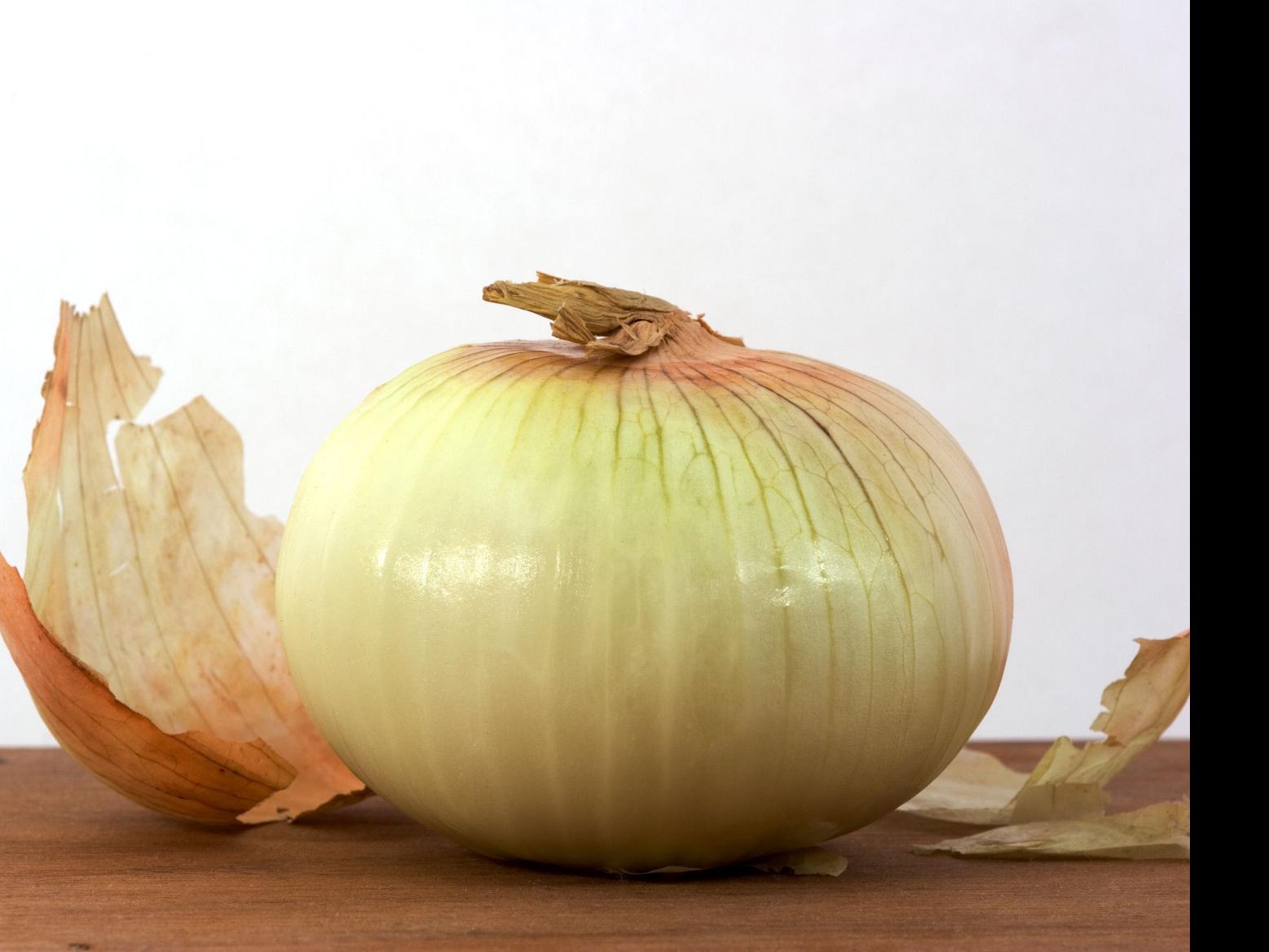 Onion Comedy Arts Festival 2022