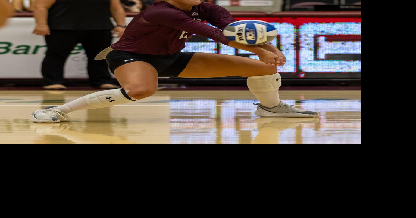 SIU VB Stealthy Swansiger leads Salukis past SEMO
