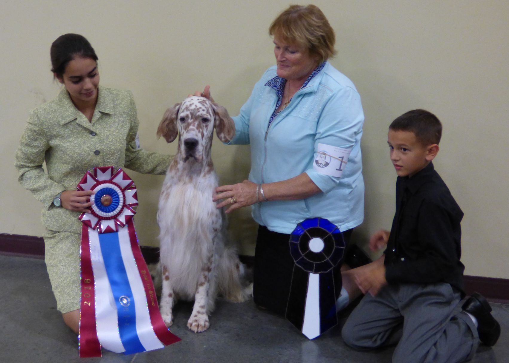 Eileen hackett best sale english setters