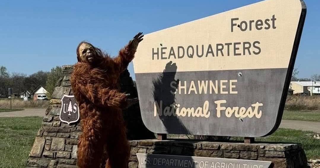 Harrisburg's Sasquatch Festival builds on growing tradition | People